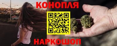 стафф Камышлов