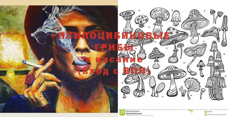 Галлюциногенные грибы Magic Shrooms  Павловский Посад 