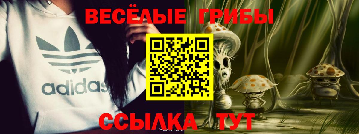 Псилоцибиновые грибы прущие грибы Павловский Посад