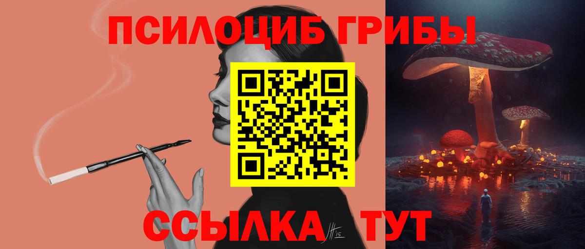 Псилоцибиновые грибы мицелий  Вход с VPN  закладка  Павловский Посад 